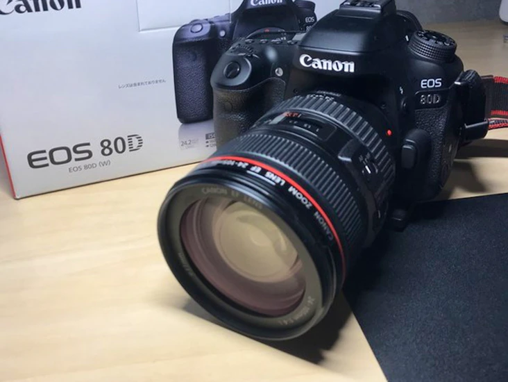 Canon 80d with 24-105mm zoom lens
