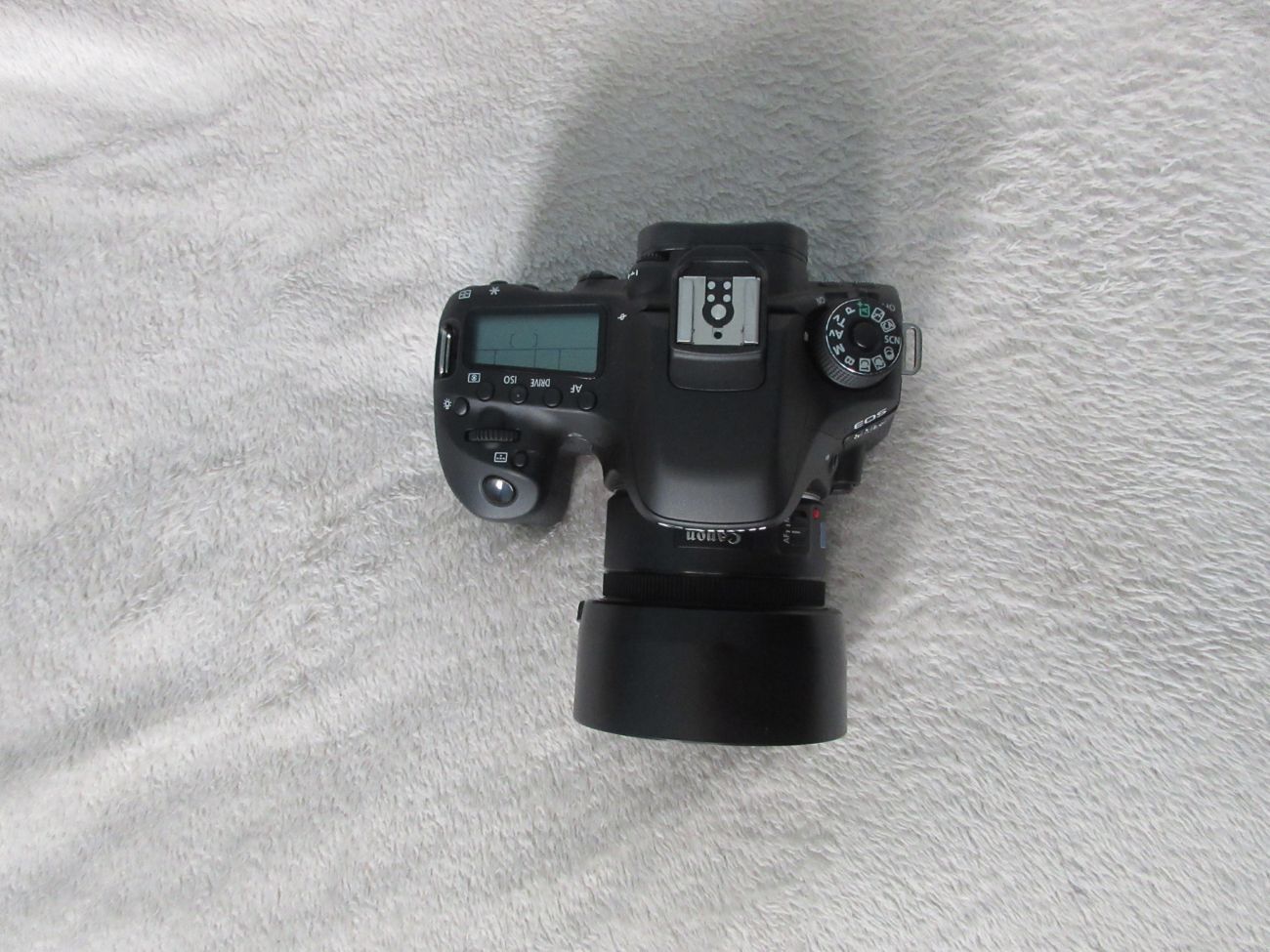Canon 80d with 50mm lens