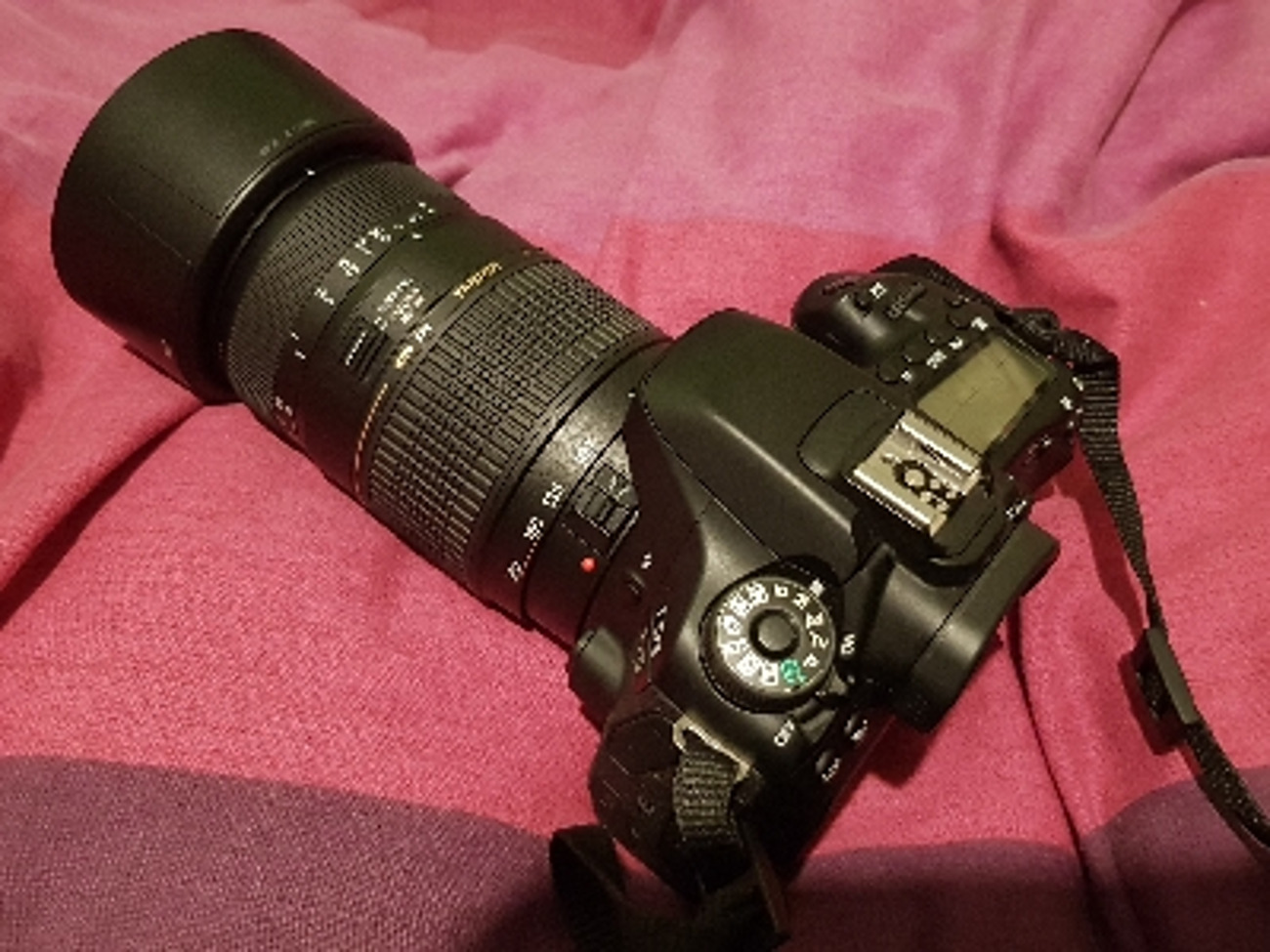 Canon 80d with lens 
