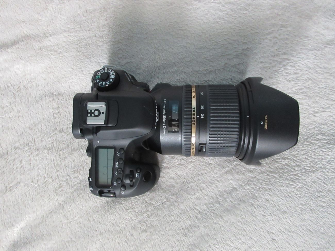 Canon 80d with tamron 24-70mm f/2.8