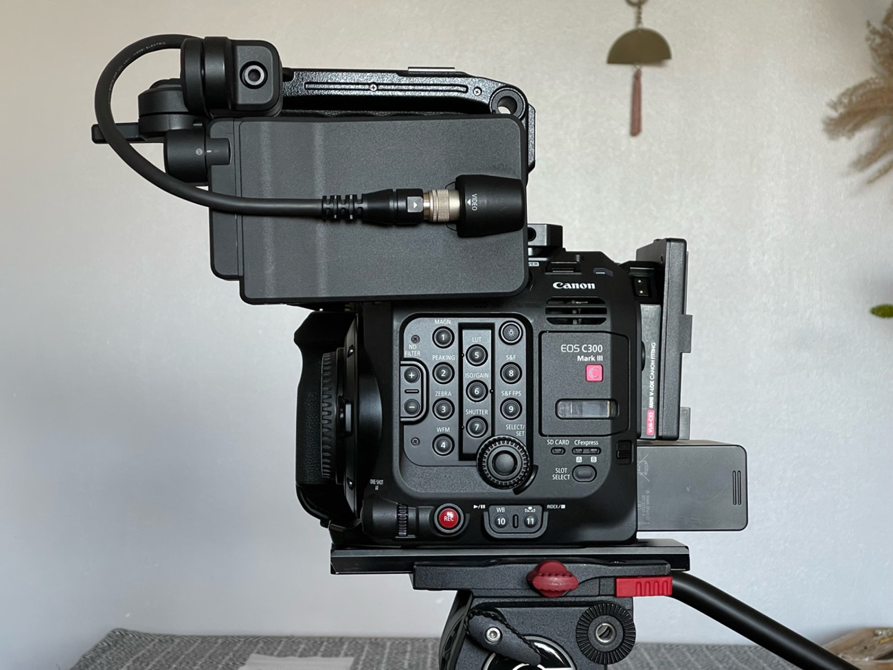 Canon c300 mk iii