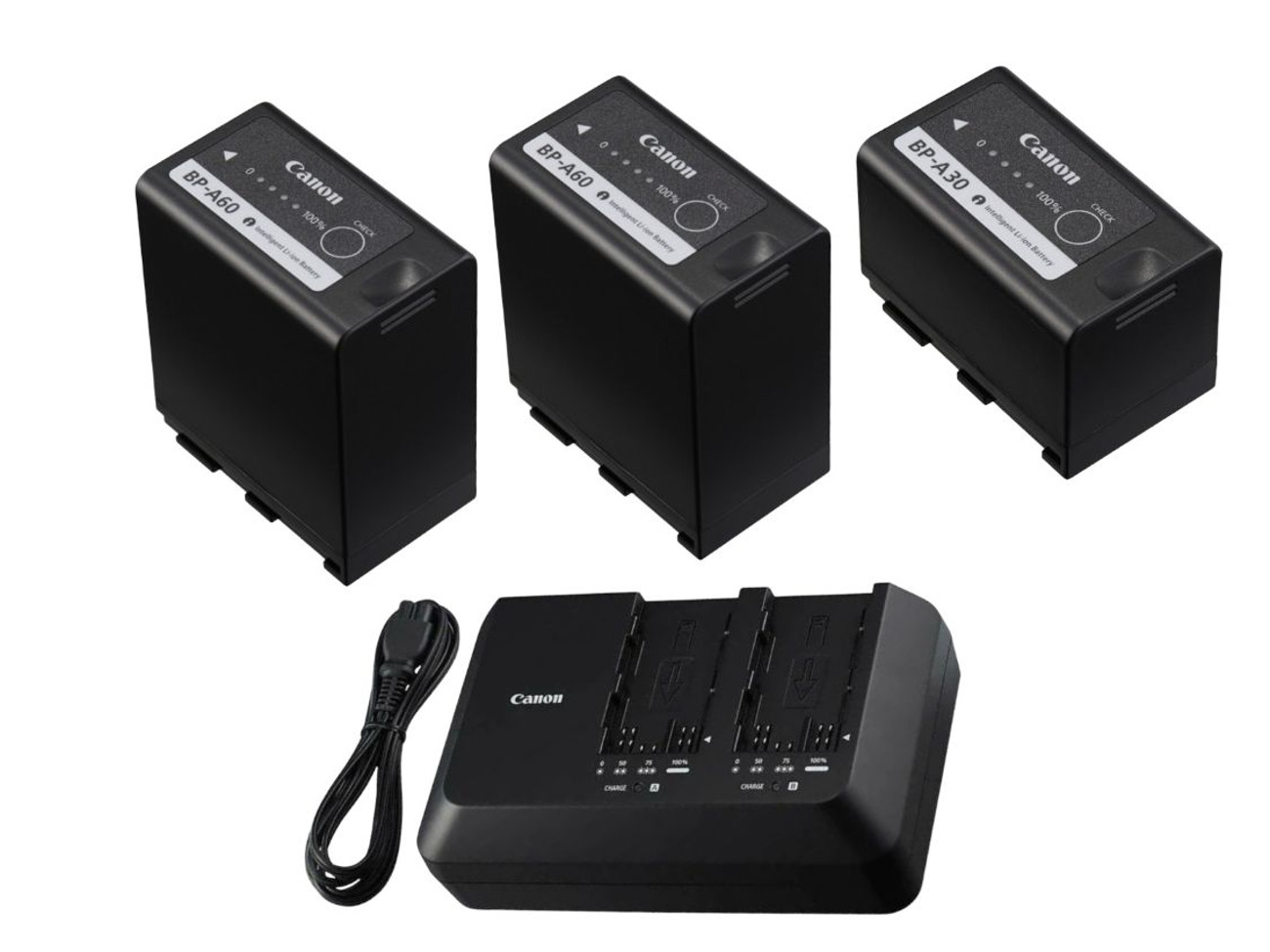 Canon c70 200 bp- a60 a30 battery + dual charger camera 