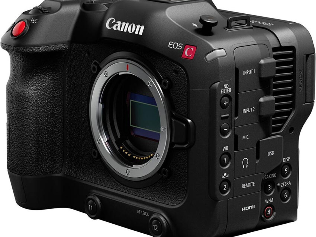 Canon c70 (ef) and rs2 gimbal