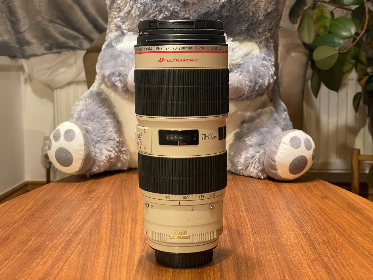 Canon ef 70-200 f2.8 l ii is usm zoom lens