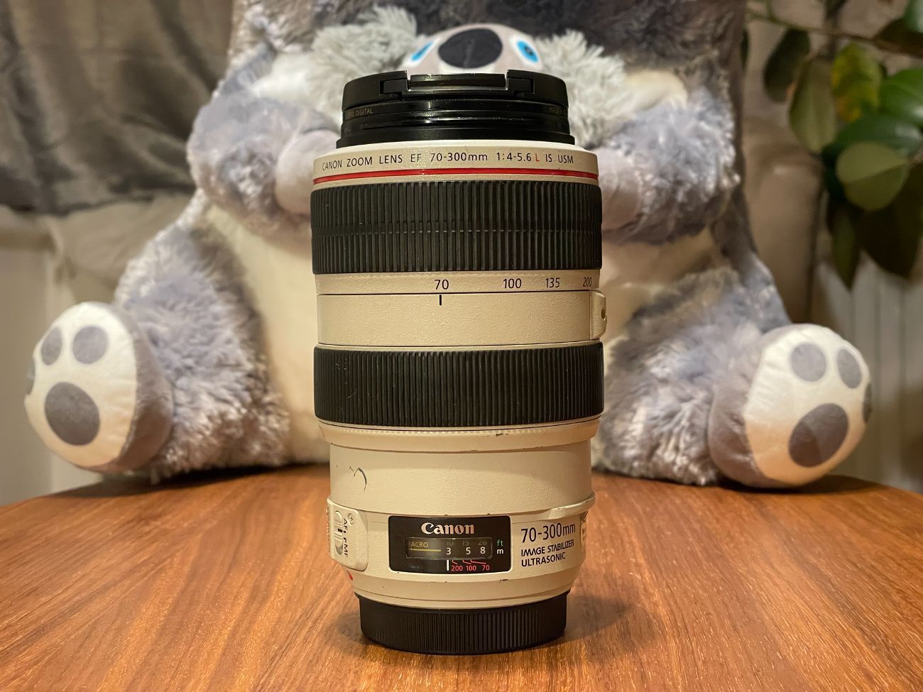 Canon ef 70-300mm f4-5.6 l is usm zoom lens