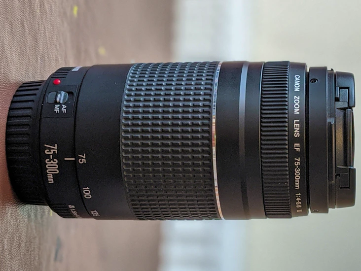 Canon ef 75-300mm zoom lens