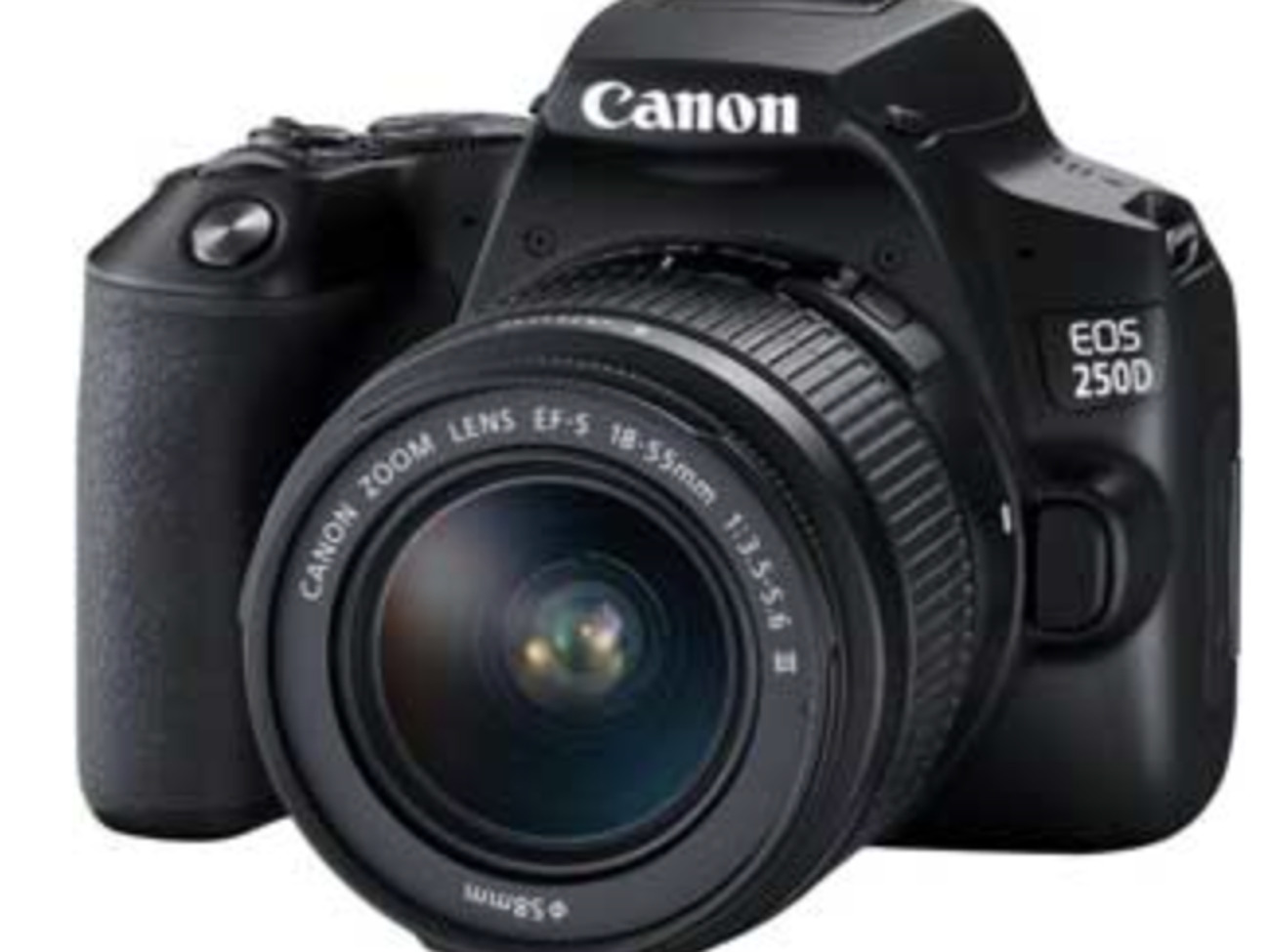 Canon eos 250d dslr - perfect for portraits