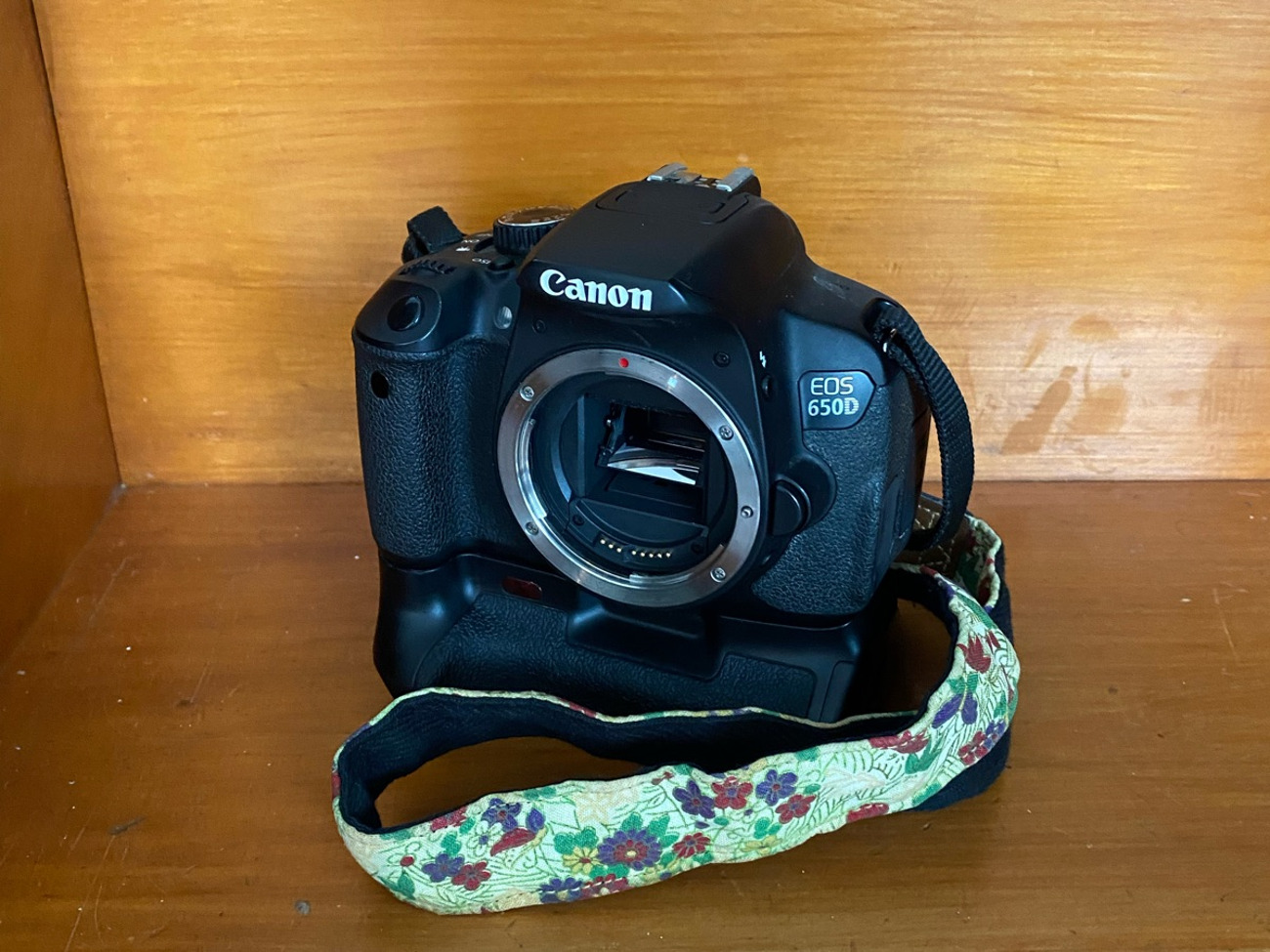 Canon eos 650d frame + battery grip