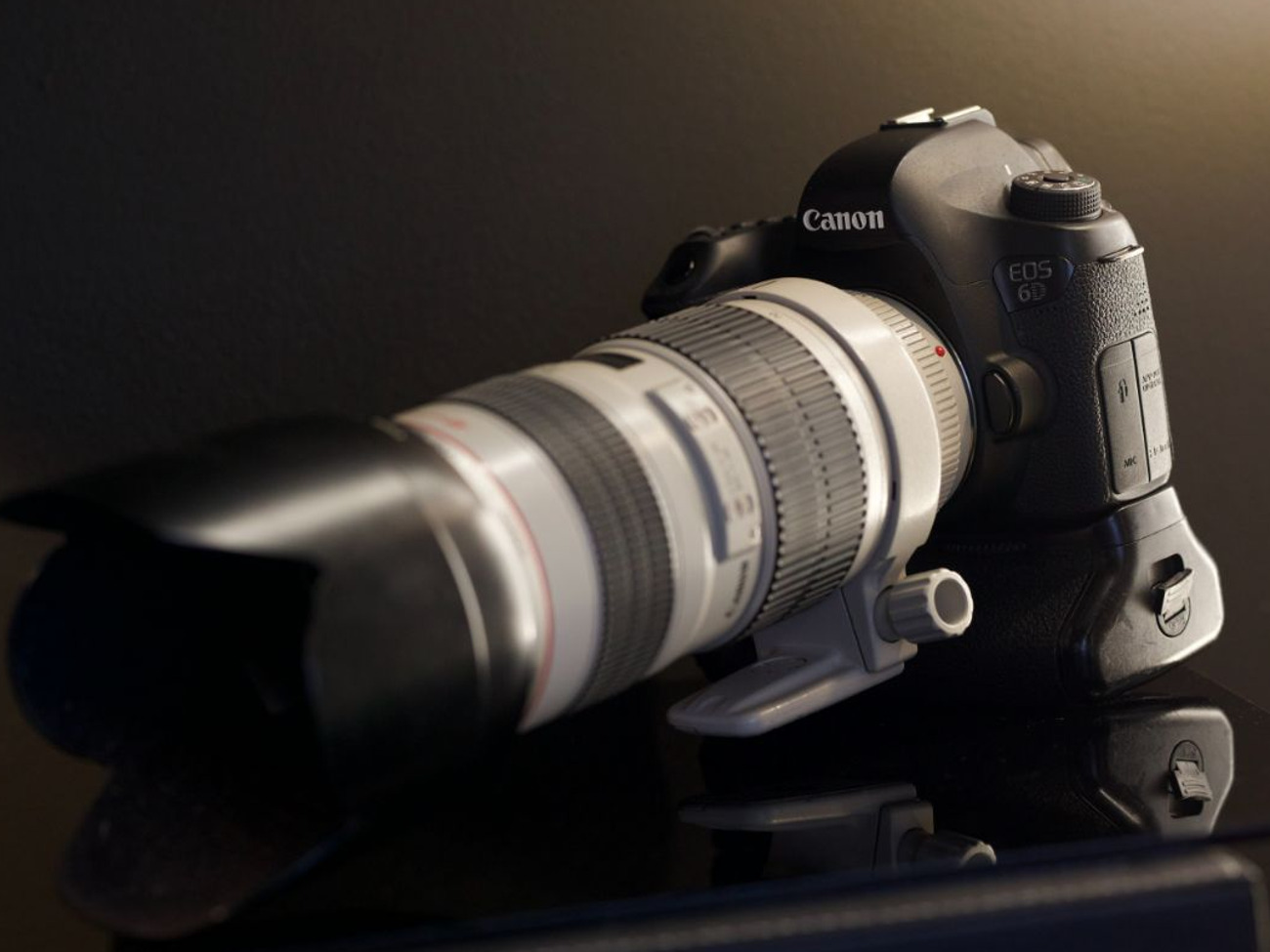 Canon eos 6d + canon 70-200mm f/2.8 l