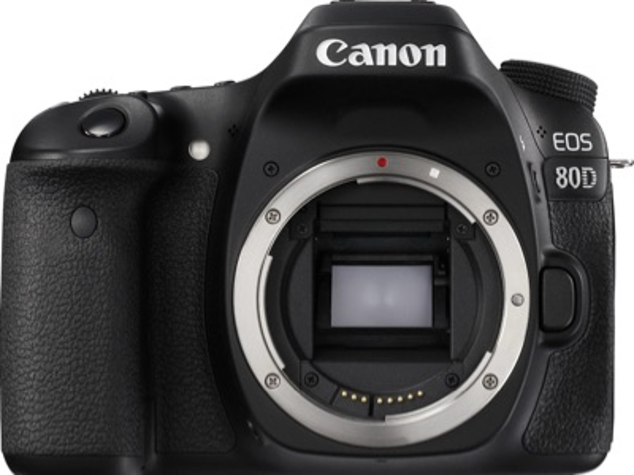 Canon eos 80d camera + ef 50mm f1.8 stm lens