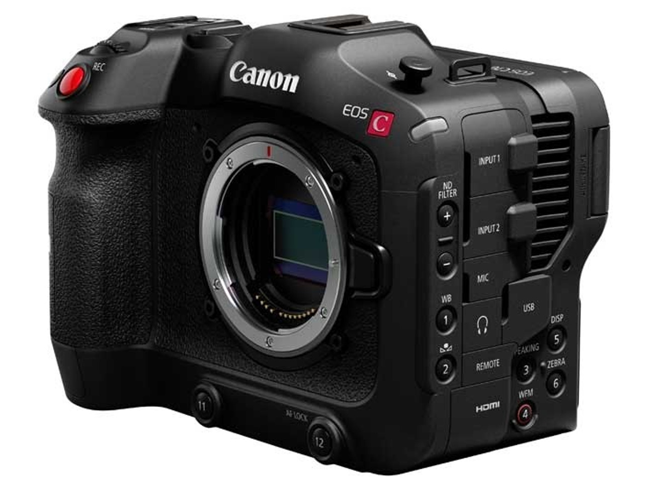 Canon eos c70 with ef/rf adaptor