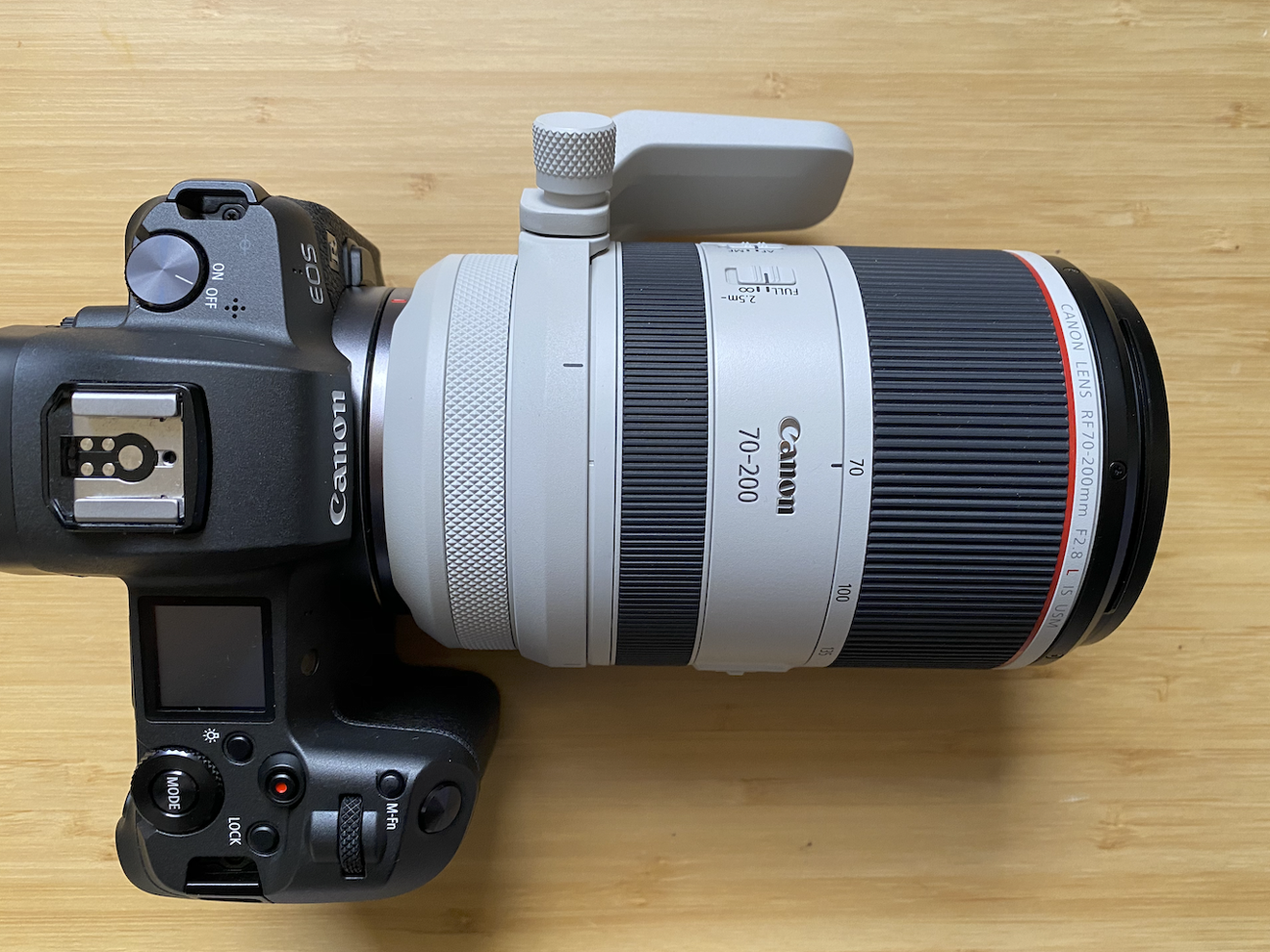 Canon eos r camera + rf 70-200mm f2.8 lens