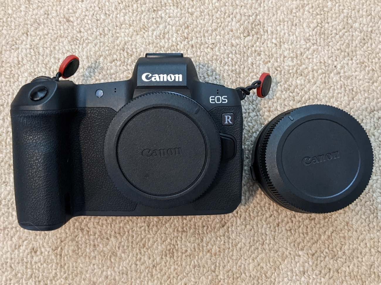 Canon eos r with ef adapter