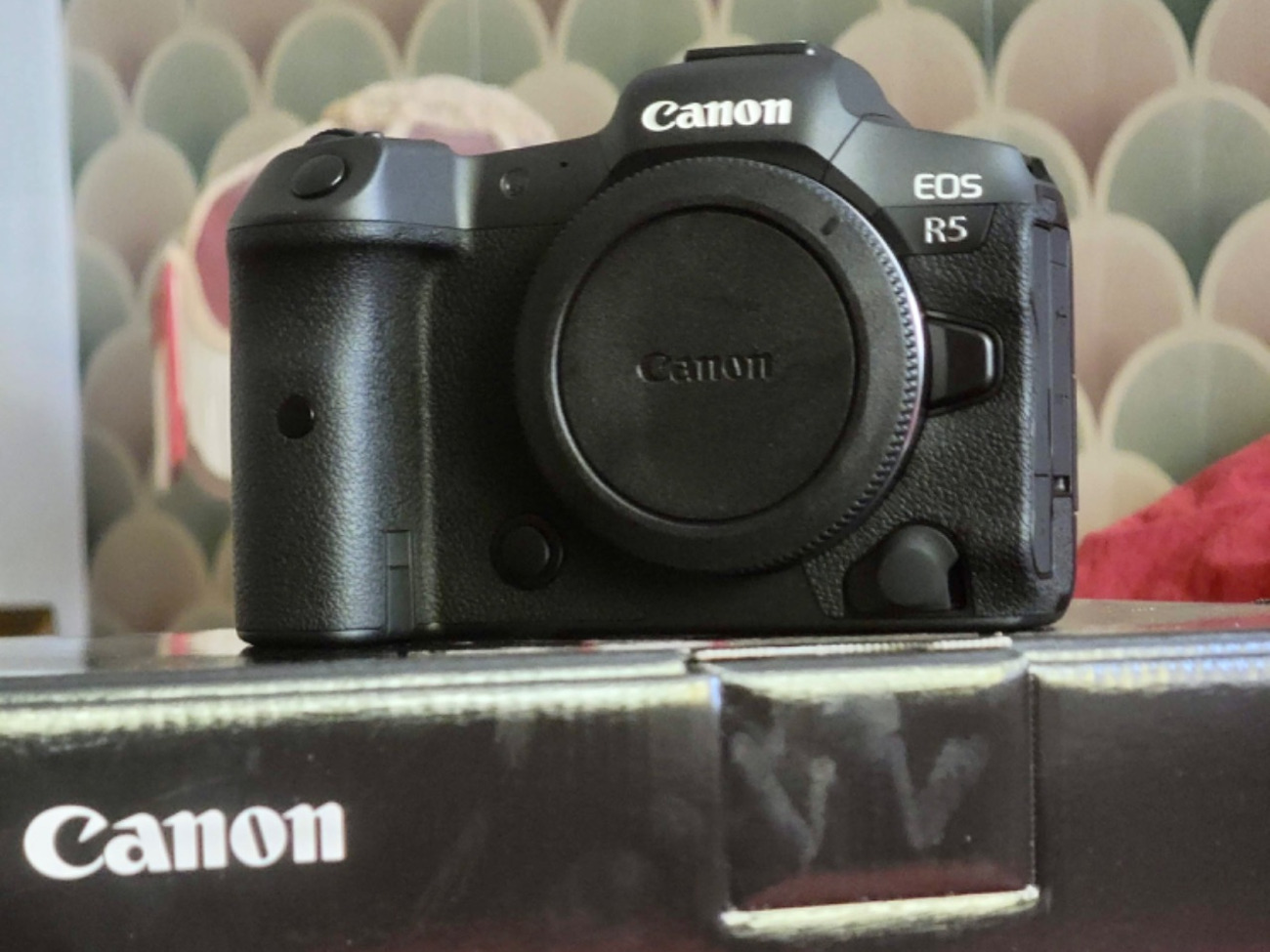 Canon eos r5, 45 megapixel mirrorless with 8k recording