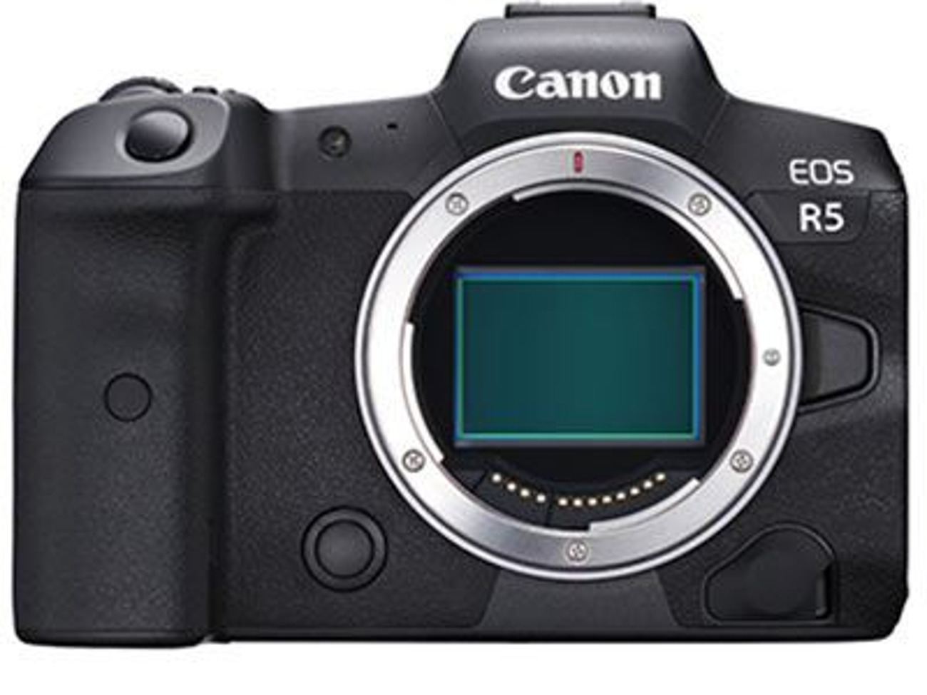 Canon eos r5 with ef lens adapter