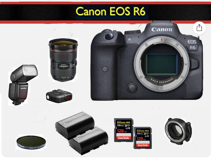 Canon eos r6 || 24-70 f 2.8 || rf - ef lens adapter ||