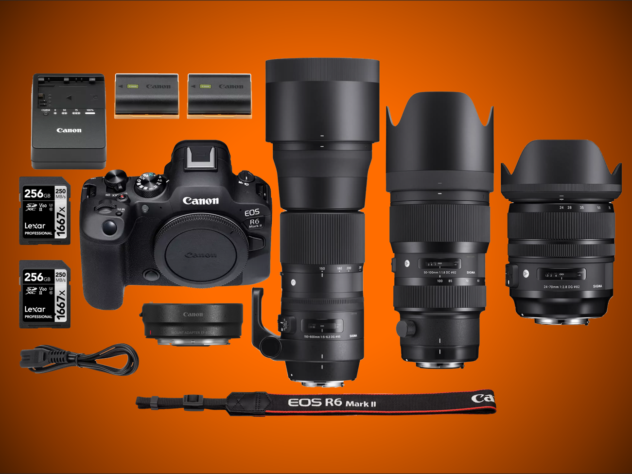 Canon eos r6 ii + 24-70 f2.8 + 50-100 f1.8 + 150-600 f5-6.3