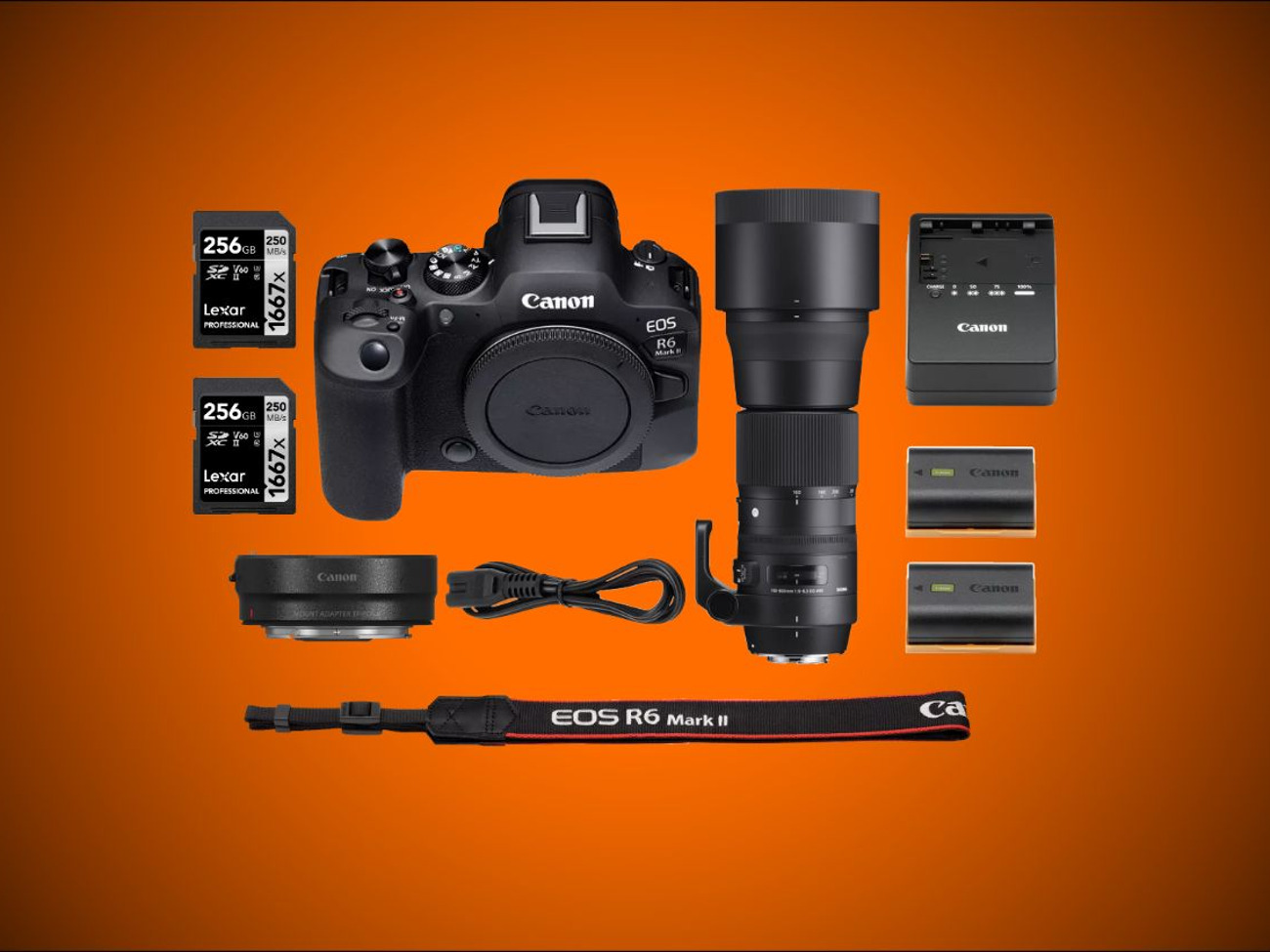 Canon eos r6 ii+ sigma 150-600mm f5-6.3 + ef-eos r + extras