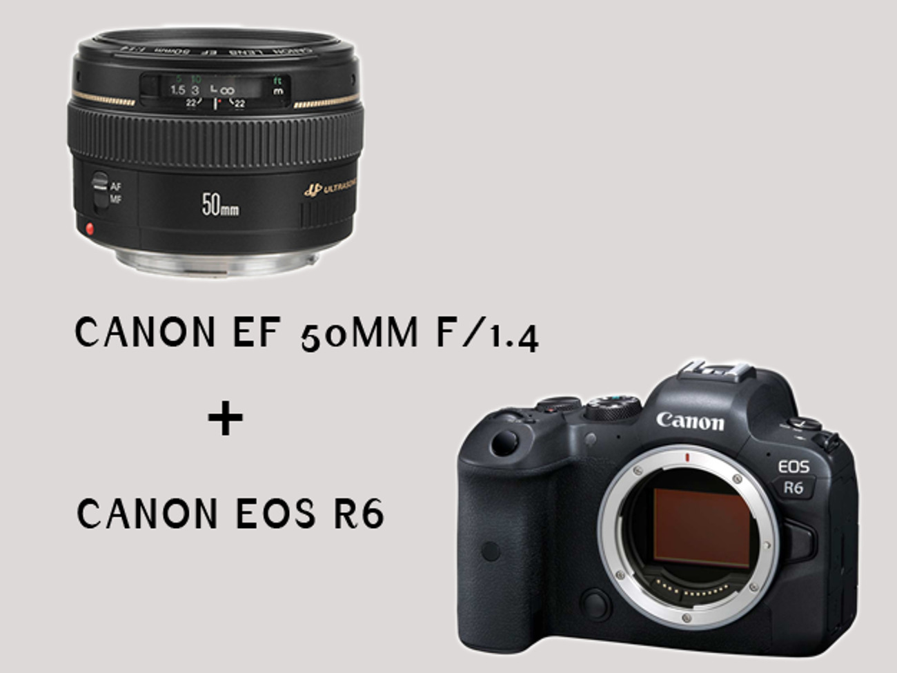 Canon eos r6 with canon ef 50mm f/1.4