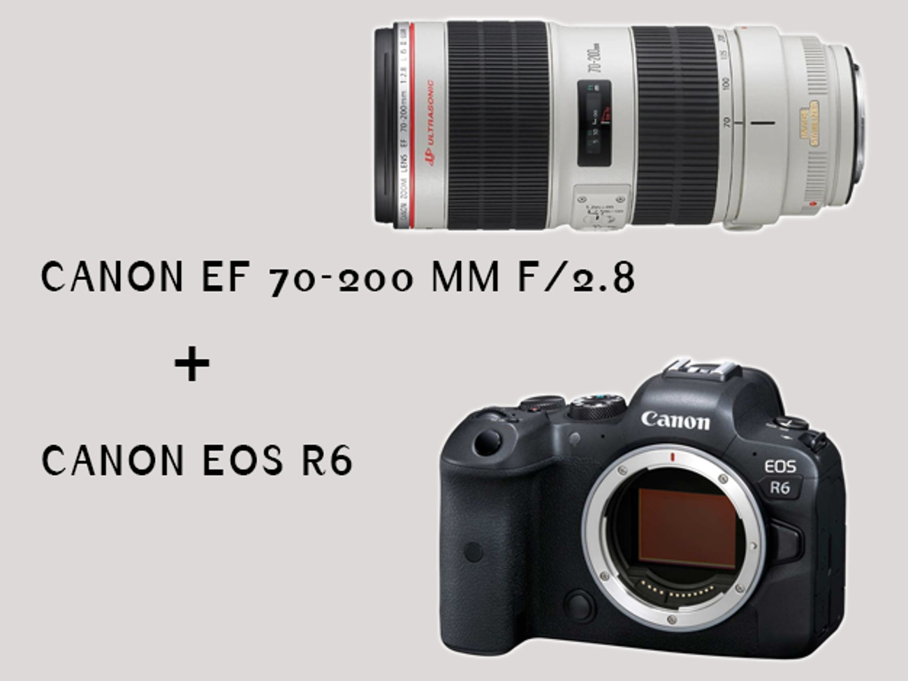 Canon eos r6 with canon ef 70-200 mm lens