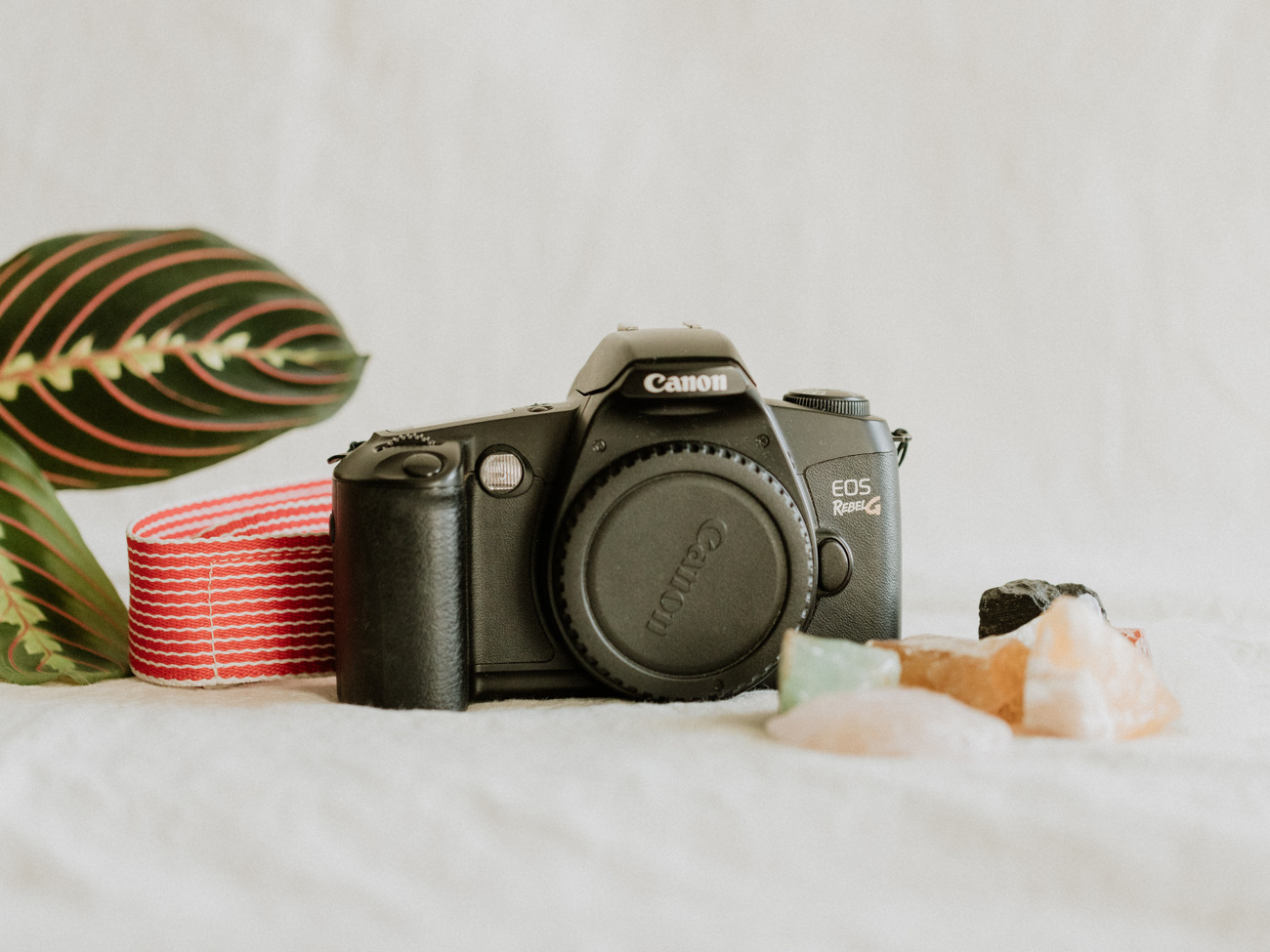 Canon eos rebel g - film camera