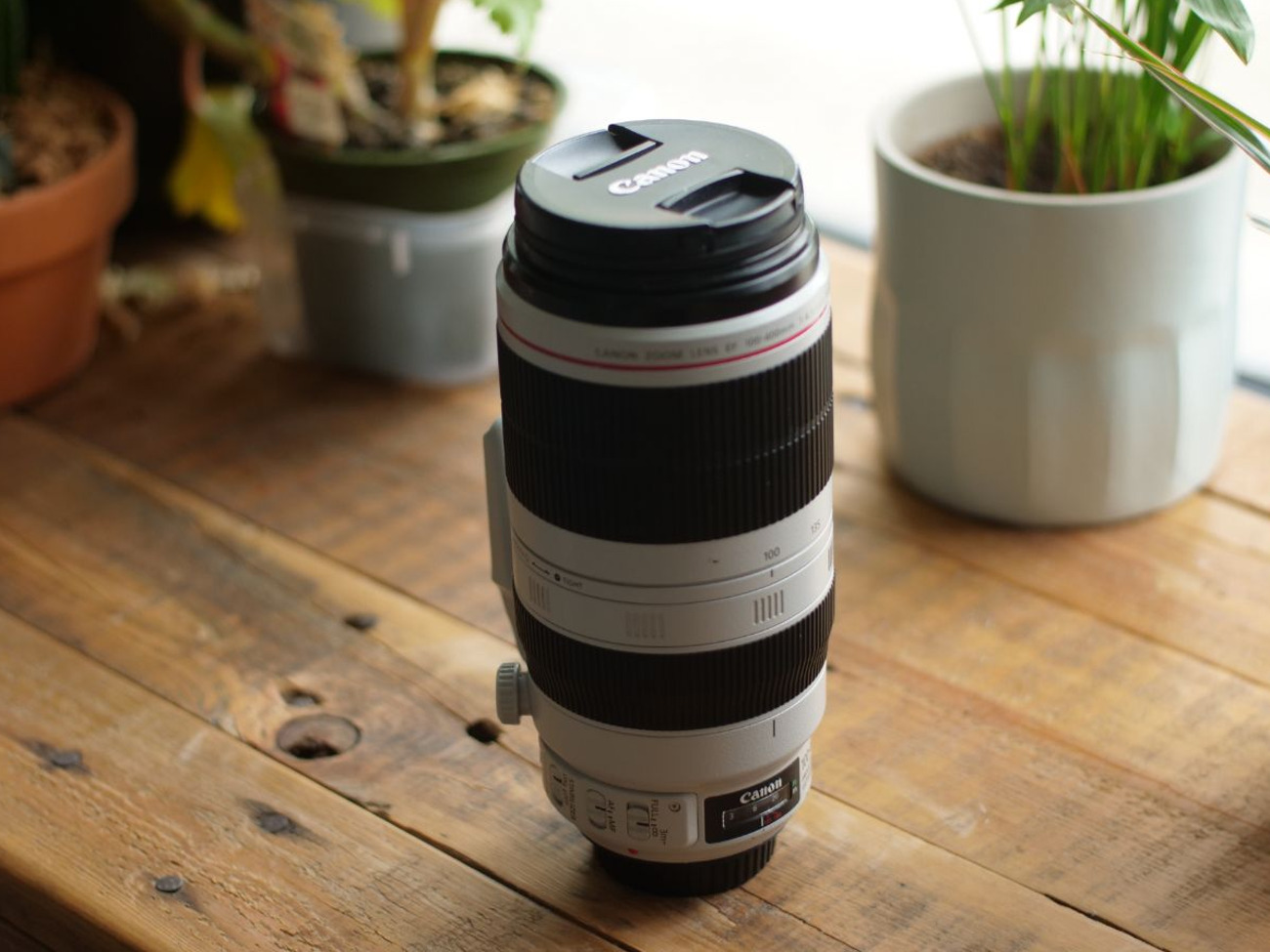 Canon 100-400mm f/4.5-5.6 mark ii lens