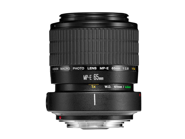 Canon mp-e 65mm f2.8 macro lens