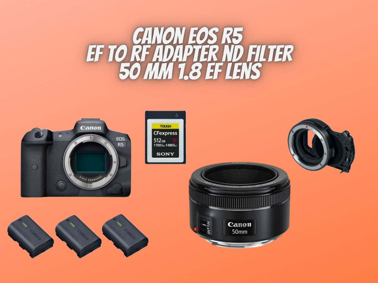 Canon r5 + canon ef 50mm f1.8 stm lens 