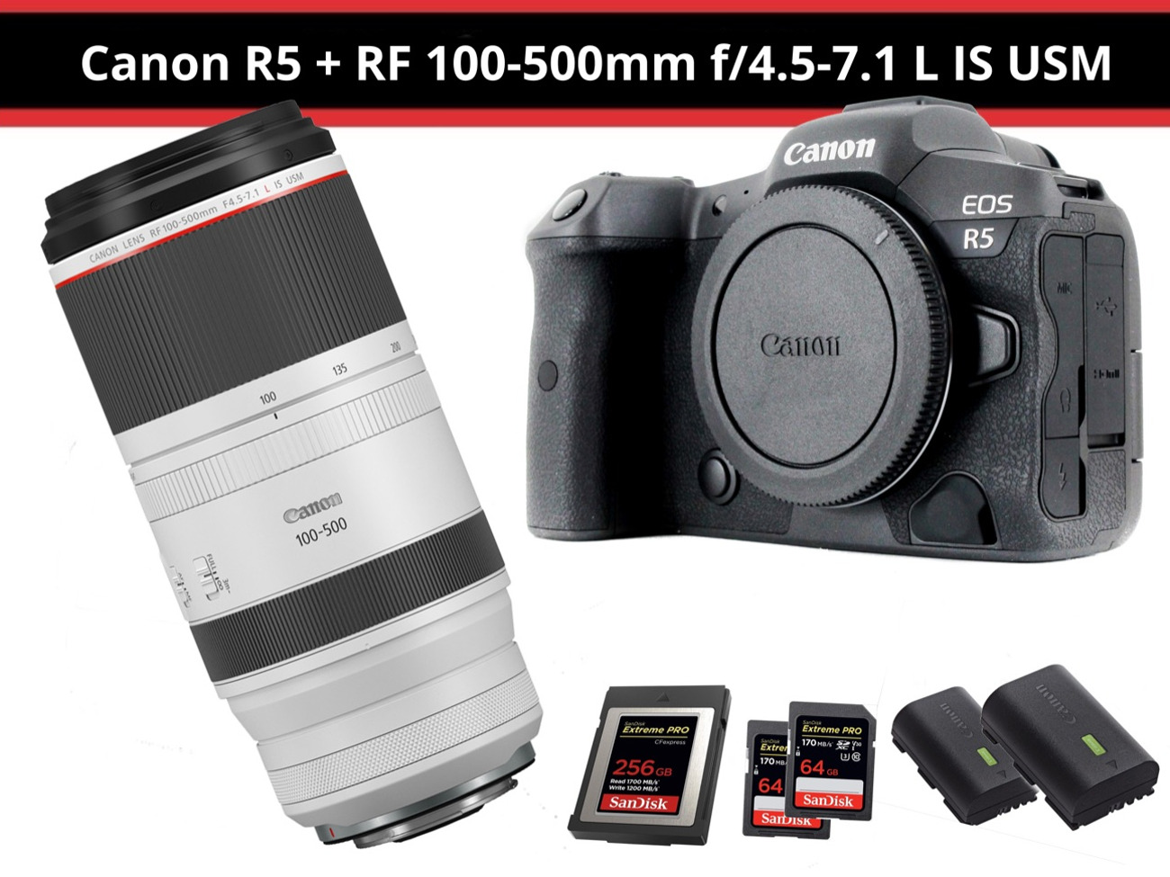 Canon r5 + rf 100-500mm f4.5-7.1