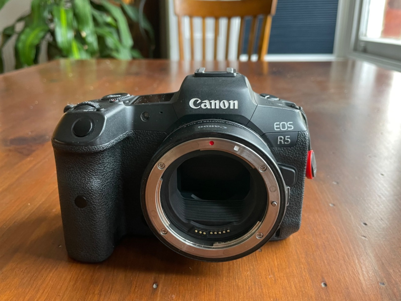 Canon r5 + rf to ef adaptor, 128gb cfexpress card