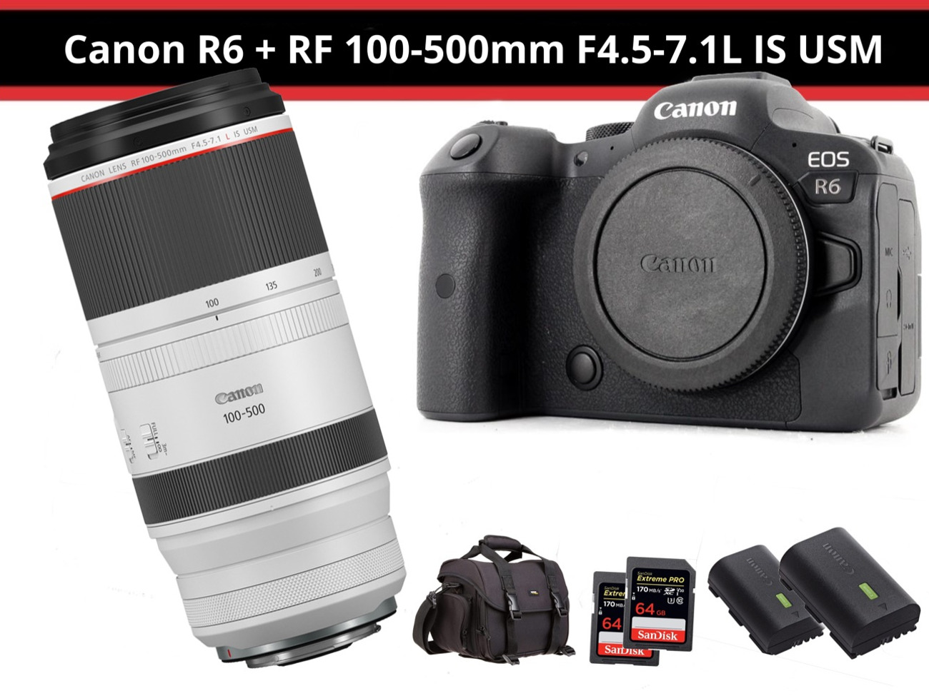 Canon r6 + 100-500mm f4.5-7.1