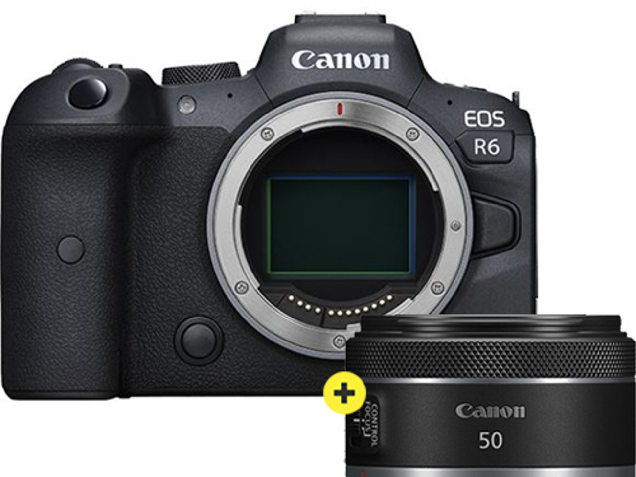 Canon r6 + 50mm + operator