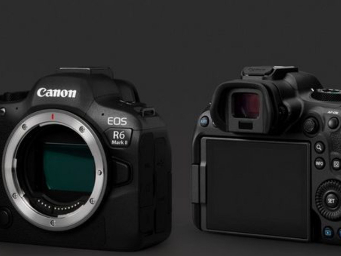 Canon r6 mark 2 
