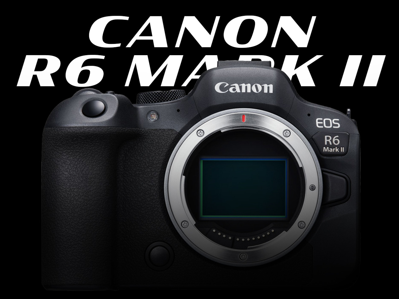 Canon r6 mark 2 (ii)