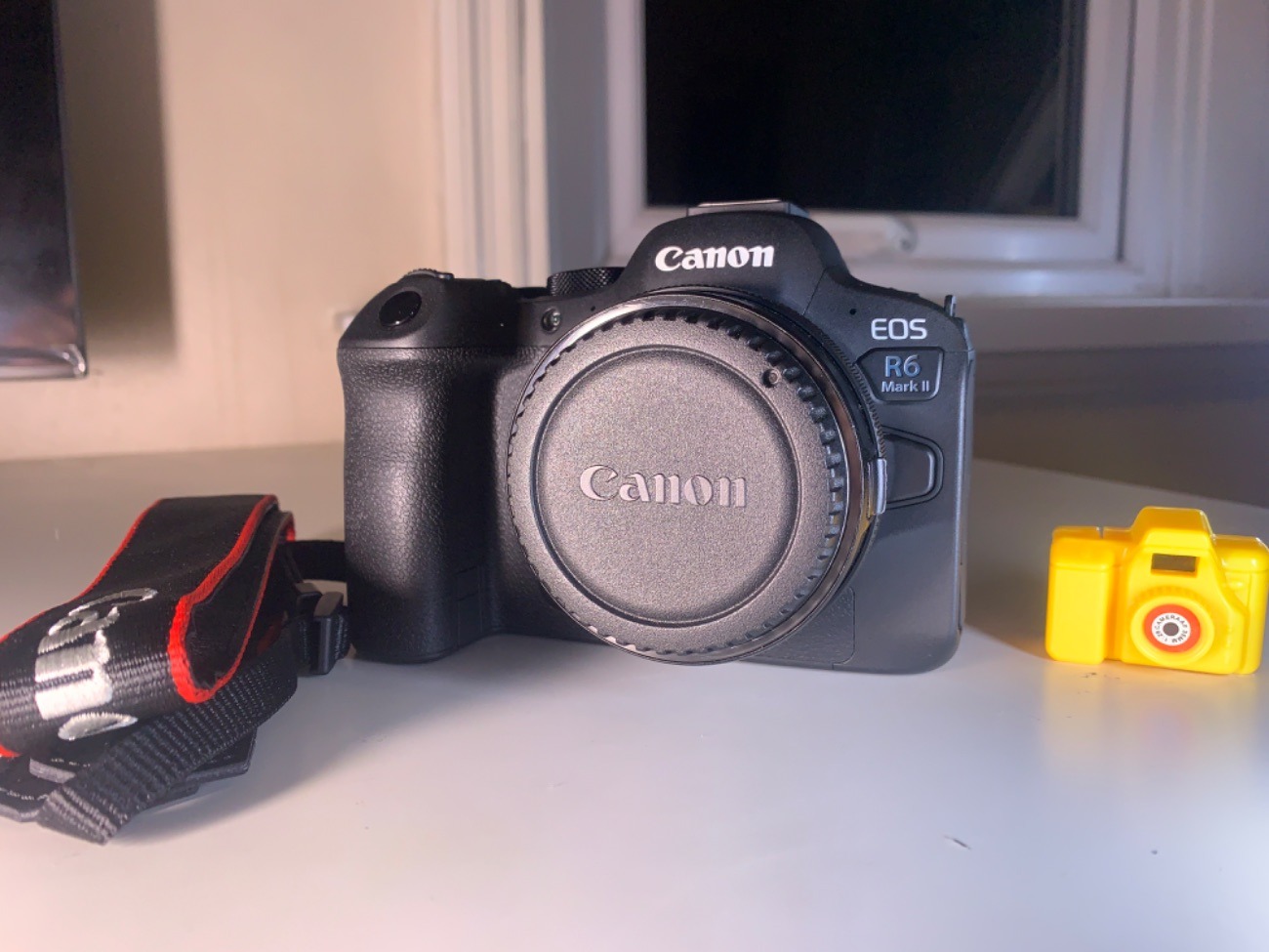 Canon r6 mark ii + ef to rf adapter