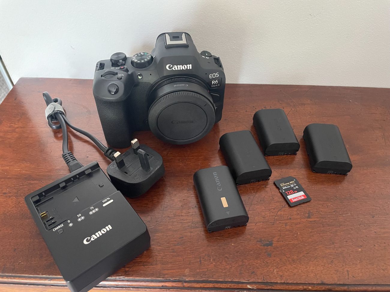 Canon r6 mark ii with rf to ef lens adapter
