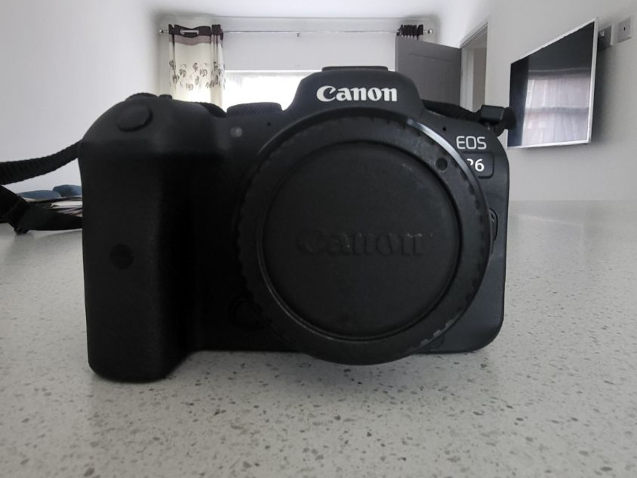 Canon r6 with rf 24-70mm f2.8 