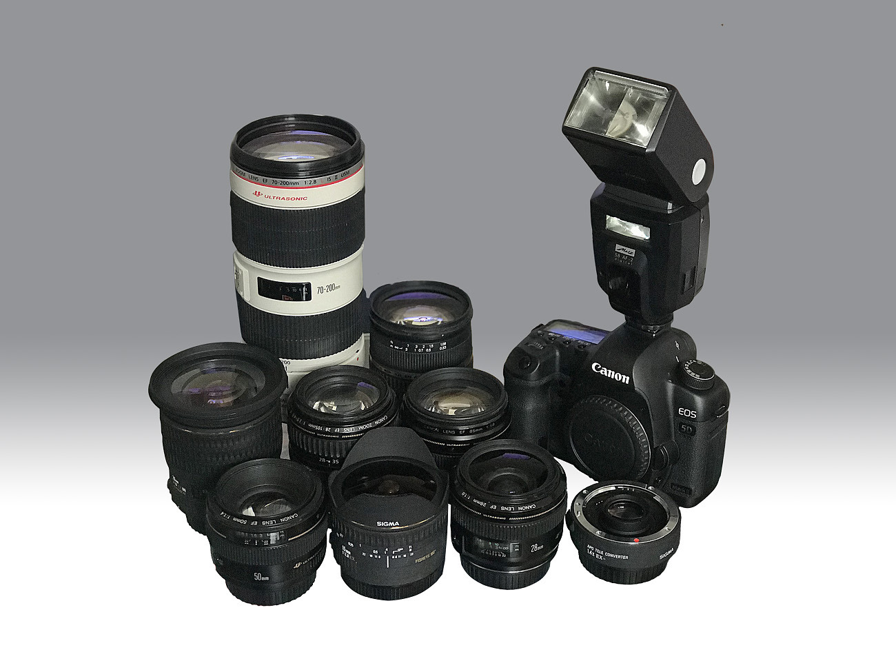 Canon system for rent