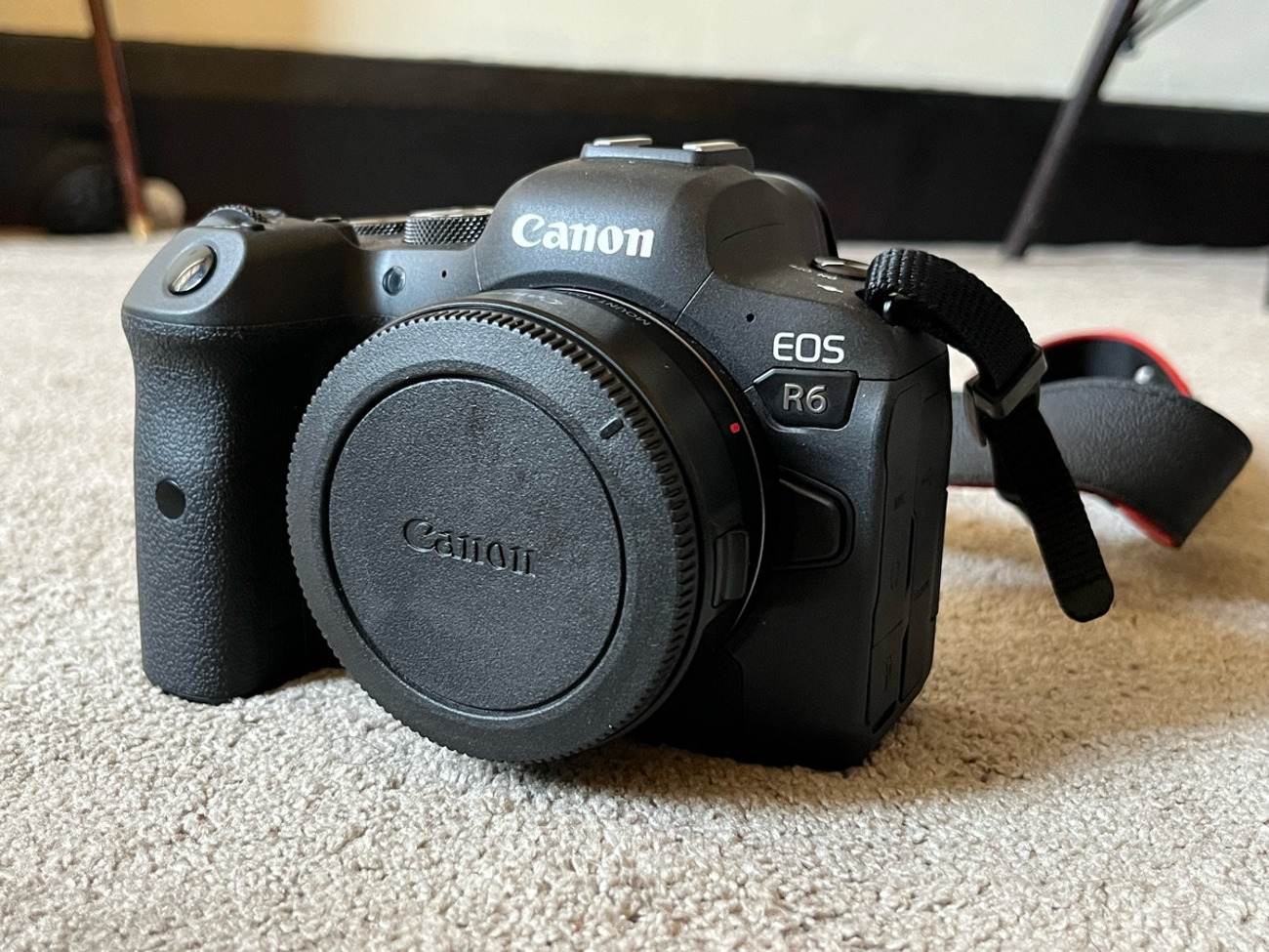 Canon r6 with ef-rf adapter