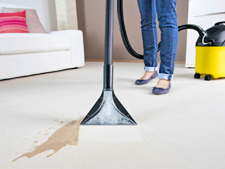 Carpet and upholstery cleaner