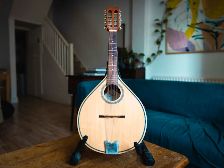 Carvalho traditional flatback mandolin
