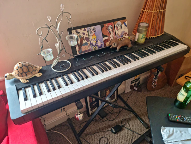 Casio cdp 120 weighted keyboard