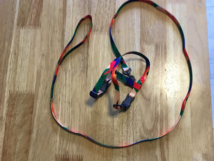 Cat lead and harness