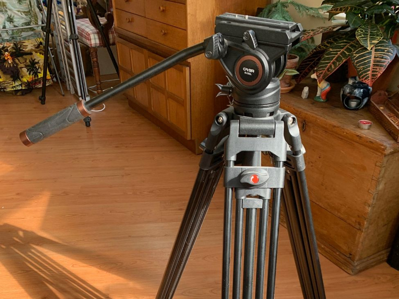 Cayer bv30l professional video tripod with fluid head + bag
