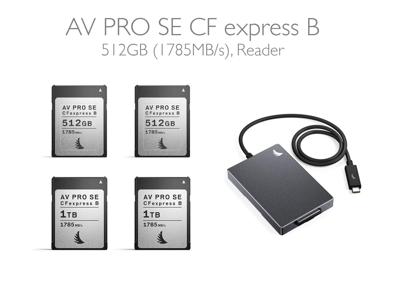 Rent CFAST EXPRESS TYPE B 1TB / 512GB ANGELBIRD AV PRO from
