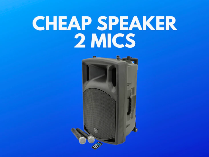 Cheap speaker qtx + 2 wireless microphone