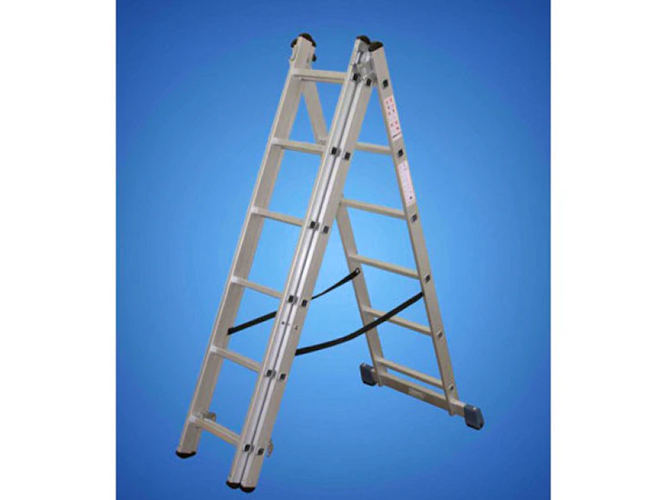 Combination step and lean-to ladders