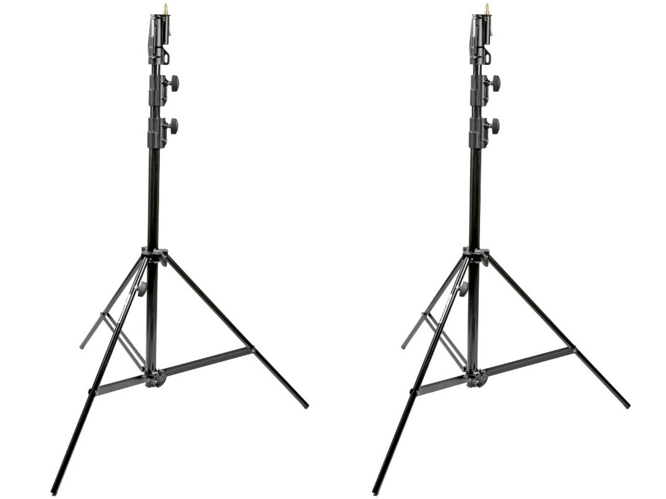 Combo stand / pup stand x2