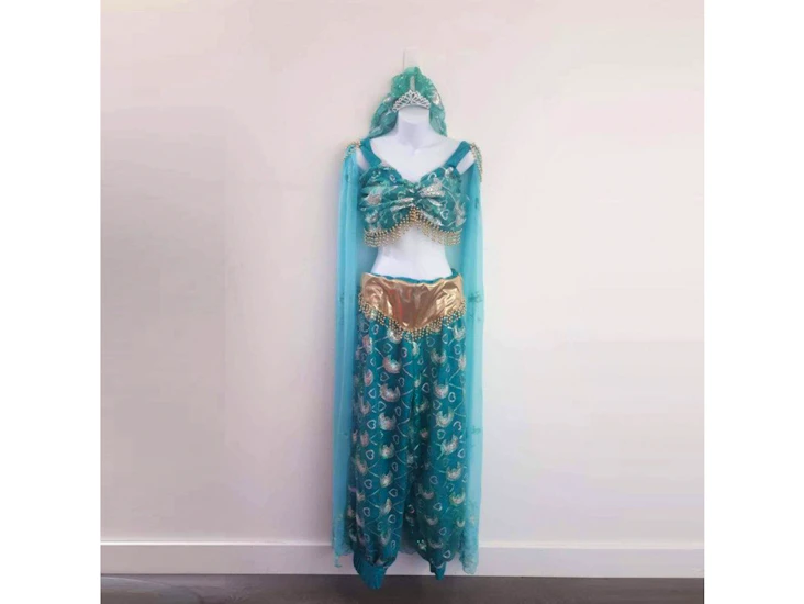 D2a princess jasmine costume