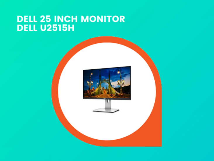 Dell 25" monitor screen